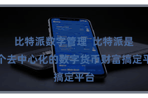 比特派数字管理 比特派是一个去中心化的数字货币财富搞定平台