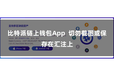 比特派链上钱包App  切勿截图或保存在汇注上