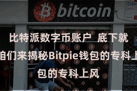 比特派数字币账户  底下就让咱们来揭秘Bitpie钱包的专科上风