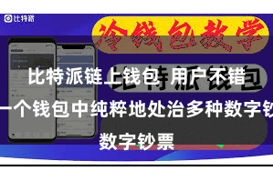 比特派链上钱包  用户不错在一个钱包中纯粹地处治多种数字钞票