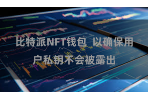 比特派NFT钱包  以确保用户私钥不会被露出