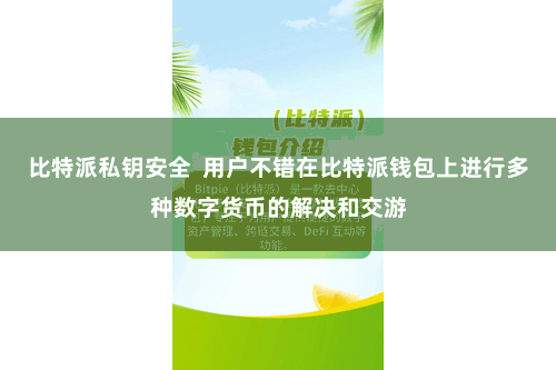 比特派私钥安全  用户不错在比特派钱包上进行多种数字货币的解决和交游