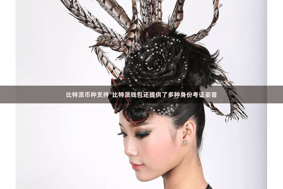 比特派币种支持  比特派钱包还提供了多种身份考证姿首