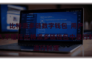 比特派多链数字钱包  用户王人不错在比特派多链钱包中进行料理