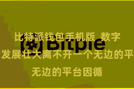 比特派钱包手机版  数字金钱的发展壮大离不开一个无边的平台因循