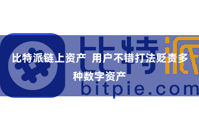 比特派链上资产  用户不错打法贬责多种数字资产