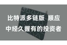 比特派多链版  顺应中经久握有的投资者