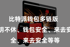 比特派钱包多链版  比如私钥不休、钱包安全、来去安全等等
