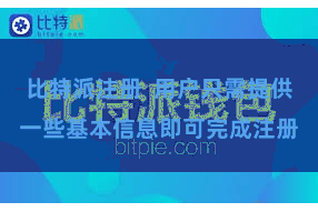 比特派注册  用户只需提供一些基本信息即可完成注册